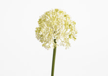 Afbeelding in Gallery-weergave laden, Allium Kunstbloem 50 cm - Kunstplanten voor binnen
